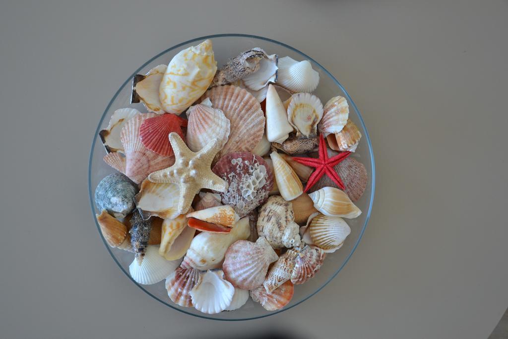 Beach Apartment Ikusasa 赞德沃特 外观 照片